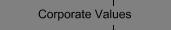 Corporate Values
